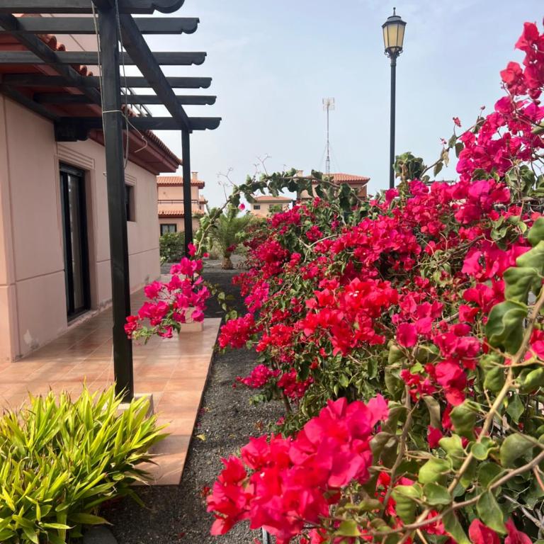 Villa Origo Mare 1236 in Majanicho - Villa de 3 dormitorios - 3