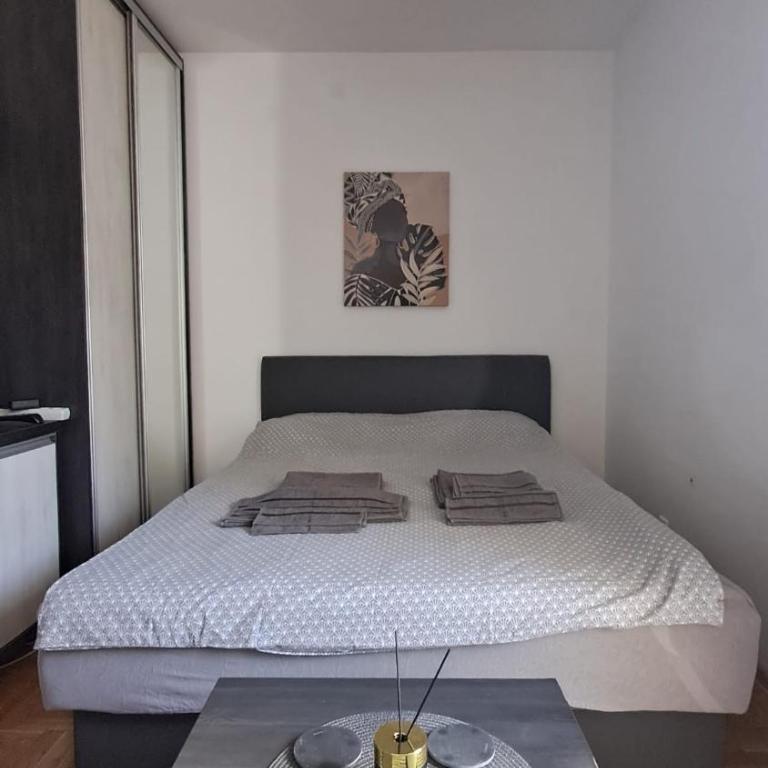 Zlatiborski konaci 14 Pet Frendly! - Apartman sa 1 Spavaćom Sobom - 30