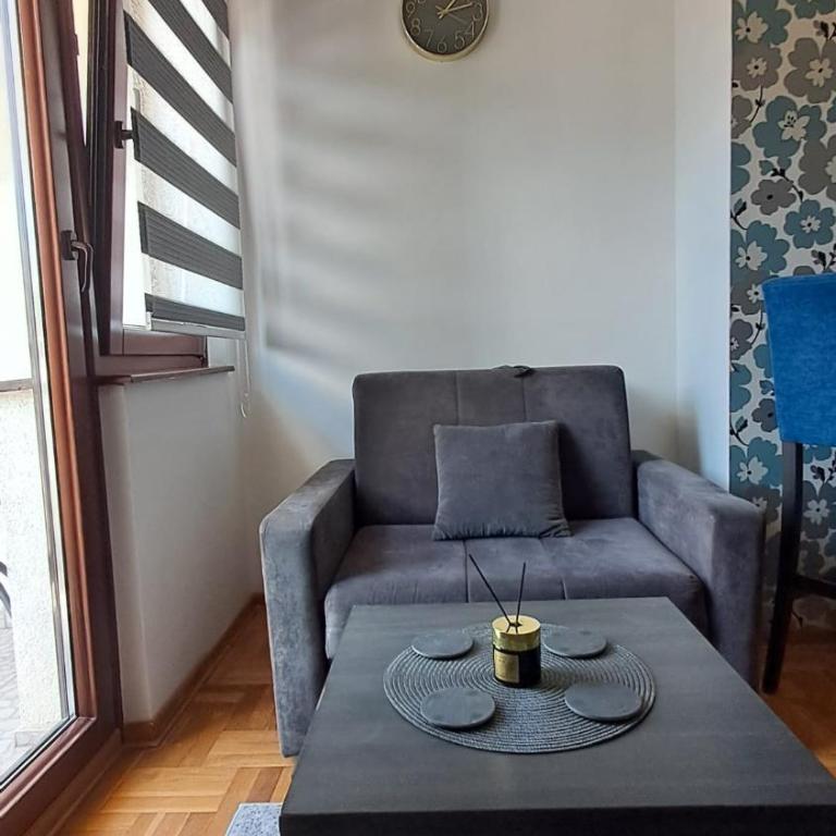 Zlatiborski konaci 14 Pet Frendly! - Apartman sa 1 Spavaćom Sobom - 27