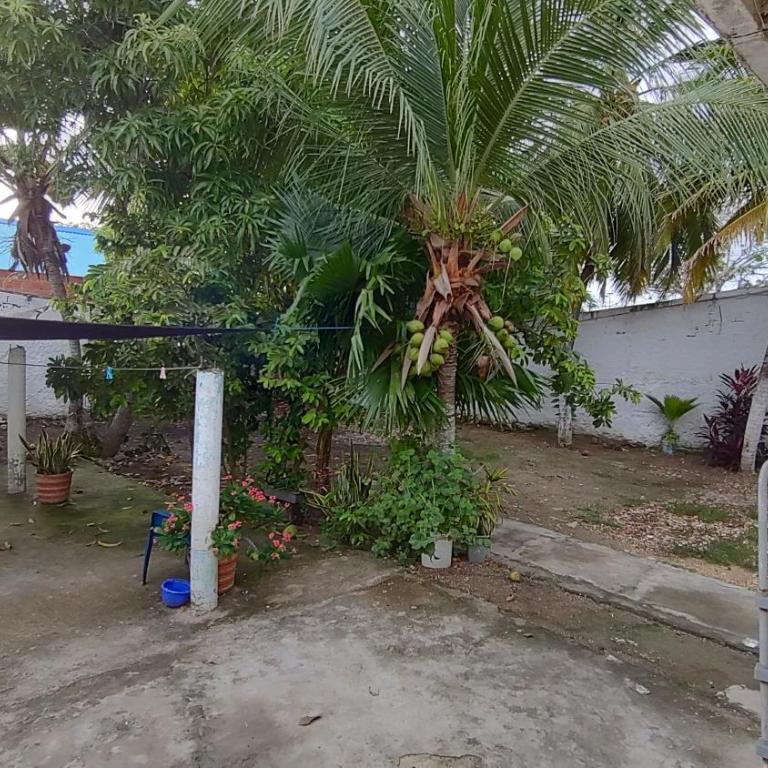 Casa Gladys - One-Bedroom Apartment - 2