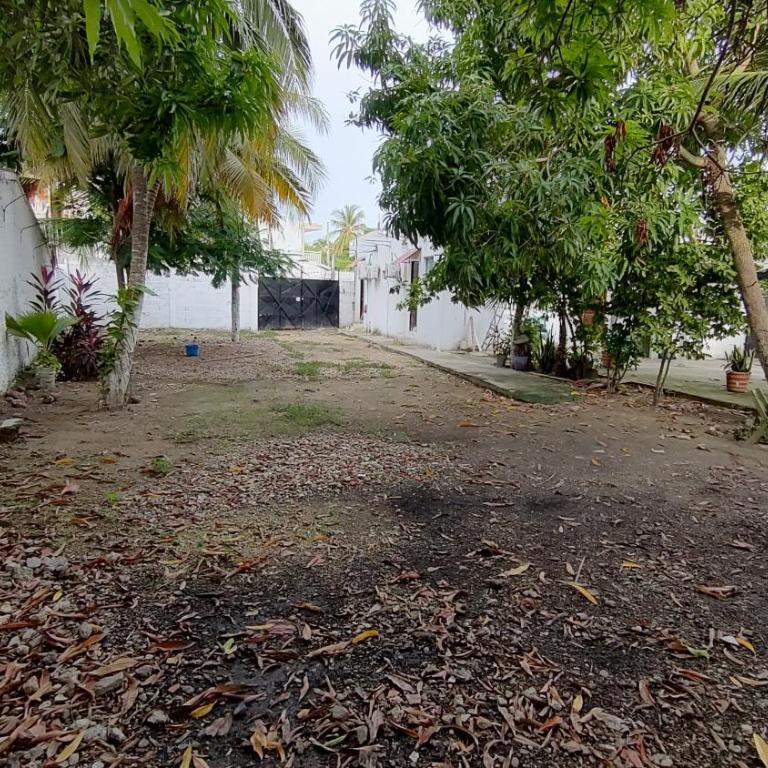 Casa Gladys - One-Bedroom Apartment - 8