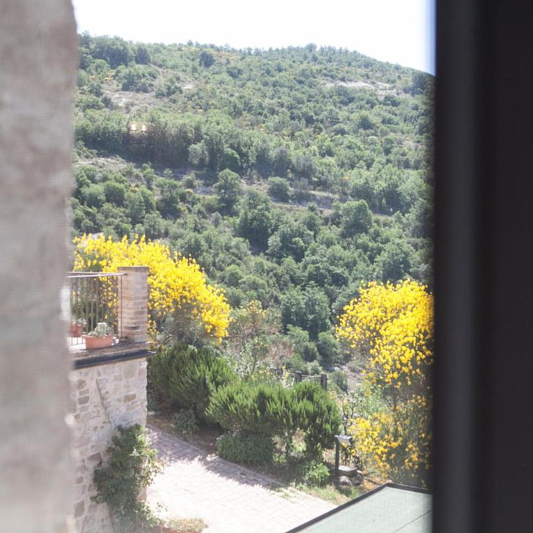 Re Artù Assisi Country Lifestyle - Monolocale - 9