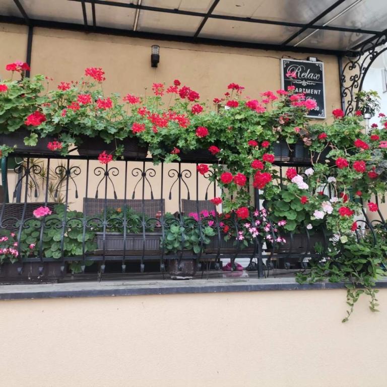 Relax Apartment - Apartman sa 1 Spavaćom Sobom - 17