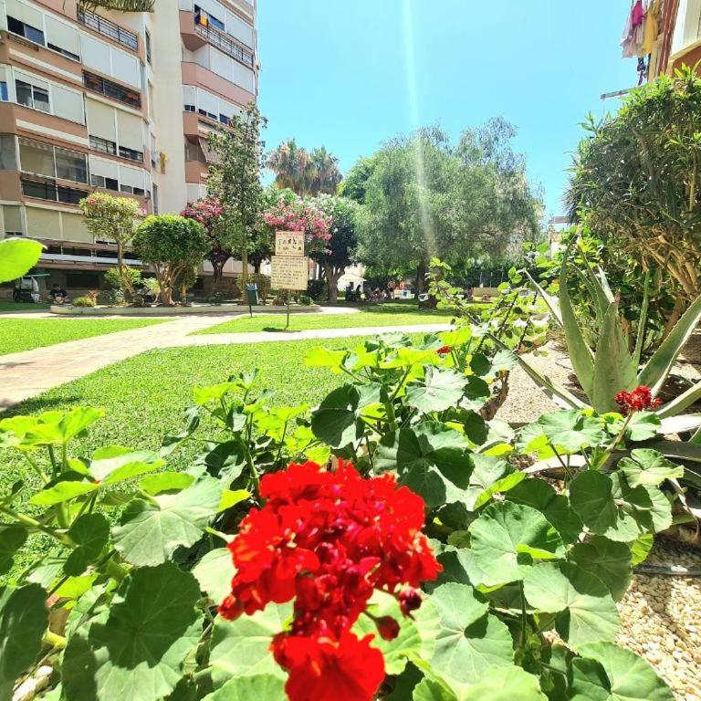 PLAZAMAR 2 SUIT-HOME RENt MALAGA - Apartamento de 1 dormitorio con vistas a la piscina - 8