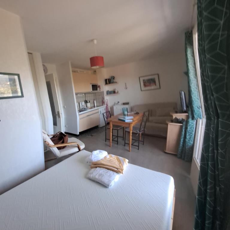 50m des cures accès direct par ascenseur joli studio Gaëlle grand balcon vue dégagée libre jusqu'au 19 octobre - Appartement 1 Chambre - 26