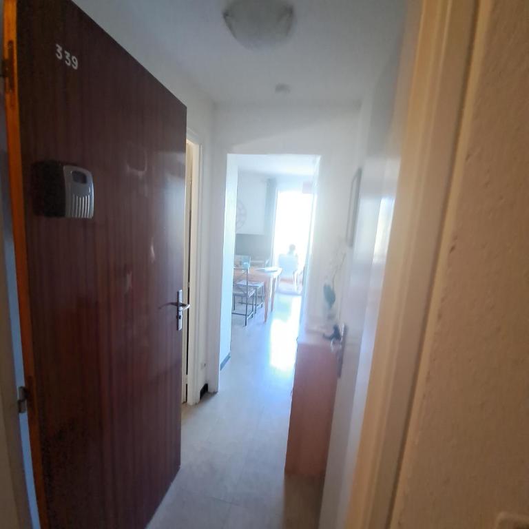 50m des cures accès direct par ascenseur joli studio Gaëlle grand balcon vue dégagée libre jusqu'au 19 octobre - Appartement 1 Chambre - 30