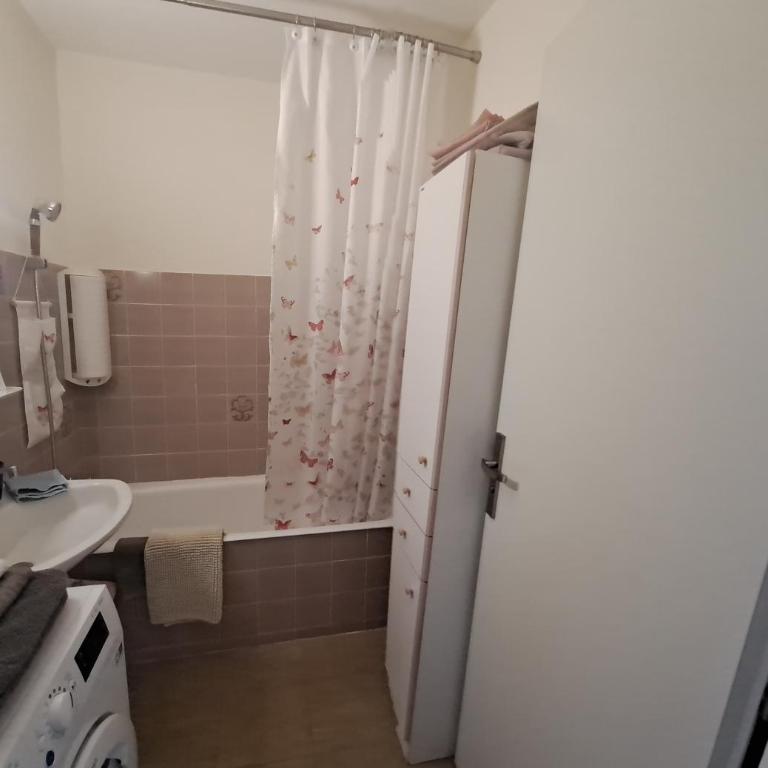 50m des cures accès direct par ascenseur joli studio Gaëlle grand balcon vue dégagée libre jusqu'au 19 octobre - Appartement 1 Chambre - 28