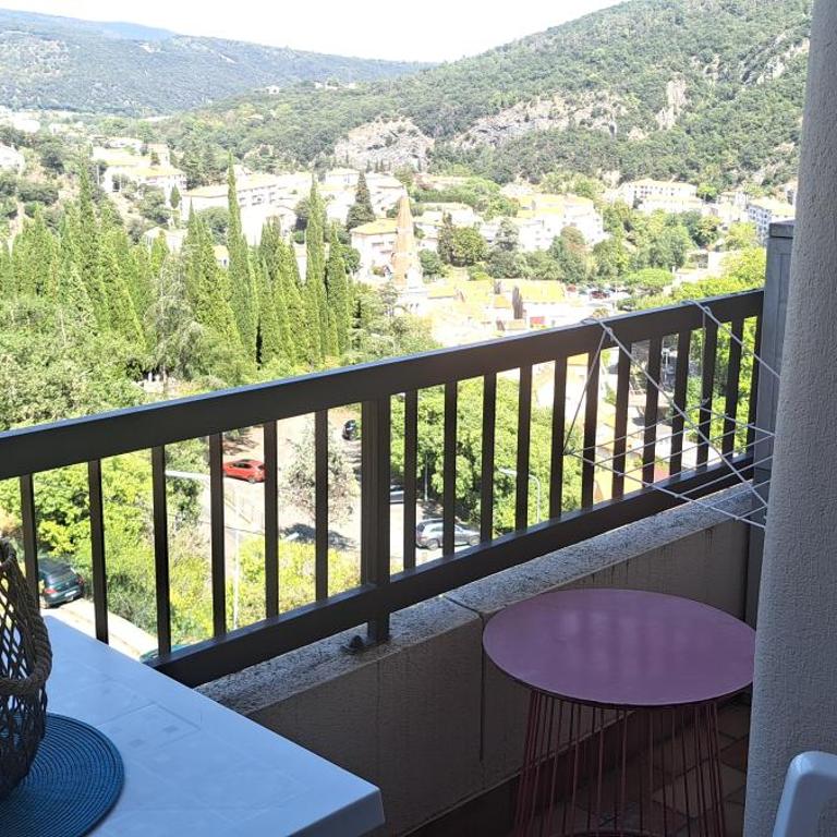 50m des cures accès direct par ascenseur joli studio Gaëlle grand balcon vue dégagée libre jusqu'au 19 octobre - Appartement 1 Chambre - 11