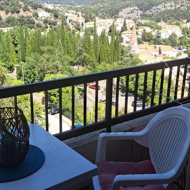50m des cures accès direct par ascenseur joli studio Gaëlle grand balcon vue dégagée libre jusqu'au 19 octobre - Appartement 1 Chambre - 12