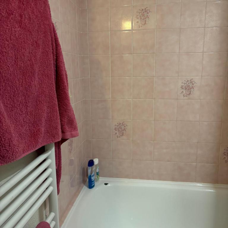 Au nid du Lay - Appartement 1 Chambre - 8