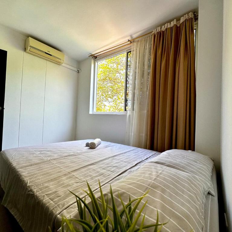 Spacious apartment in the center of Neiva - Apartamento de 3 dormitorios - 6