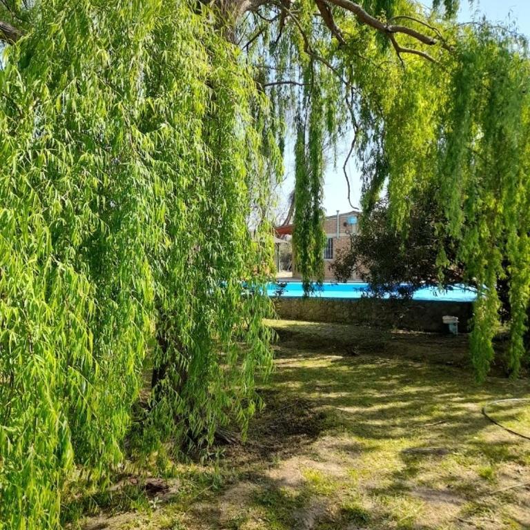 La casa de aminga dpto Castro barros La Rioja Argentina - Casa de 3 dormitorios - 8