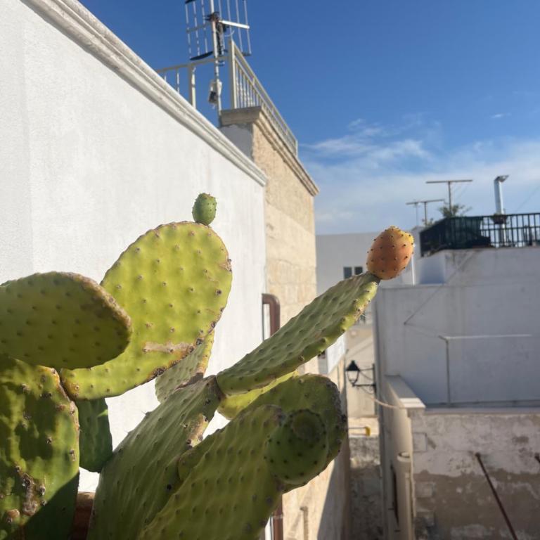 Il Nido tra le Mura Polignano - Casa con 2 Camere da Letto - 32