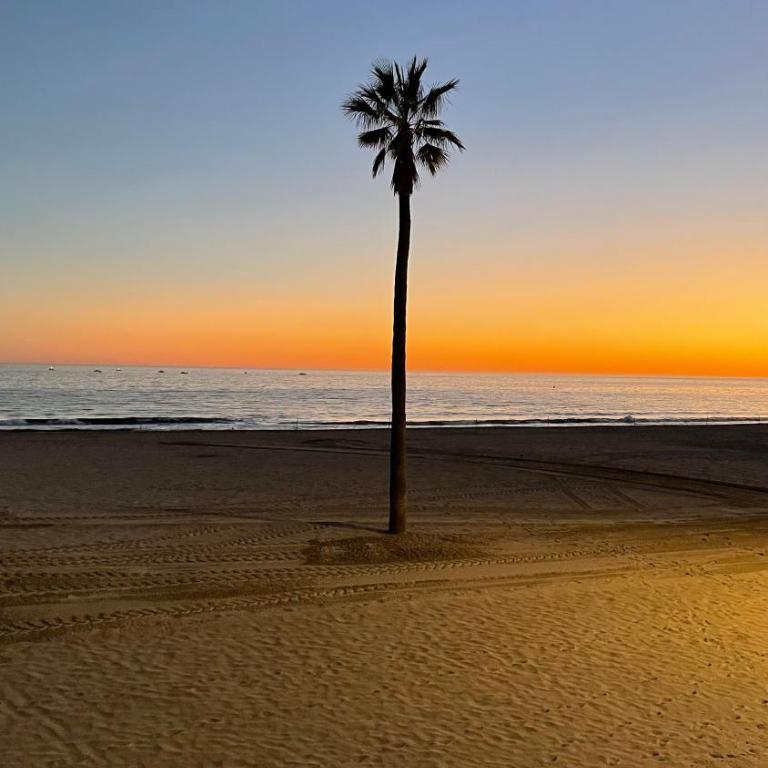 BEACH STUDIO APARTMENT HANNIBAL La Cala FINESTRAT BENIDORM - Apartamento Estudio - 42