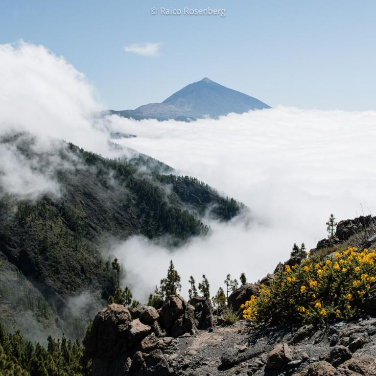 Amazing beach views Tenerife - Apartamento con vistas al mar - 49