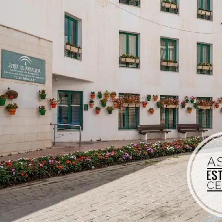 ASTOR CENTRO. 360 roof terrace. Epicentre old town - Apartamento de 2 dormitorios - 39