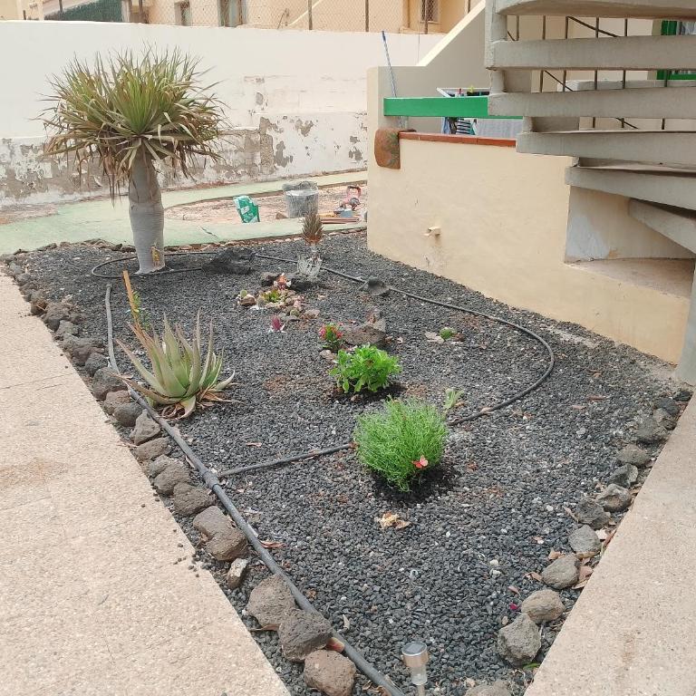 Casa Ventura Complejo Bouganville - Apartamento de 1 dormitorio - 9