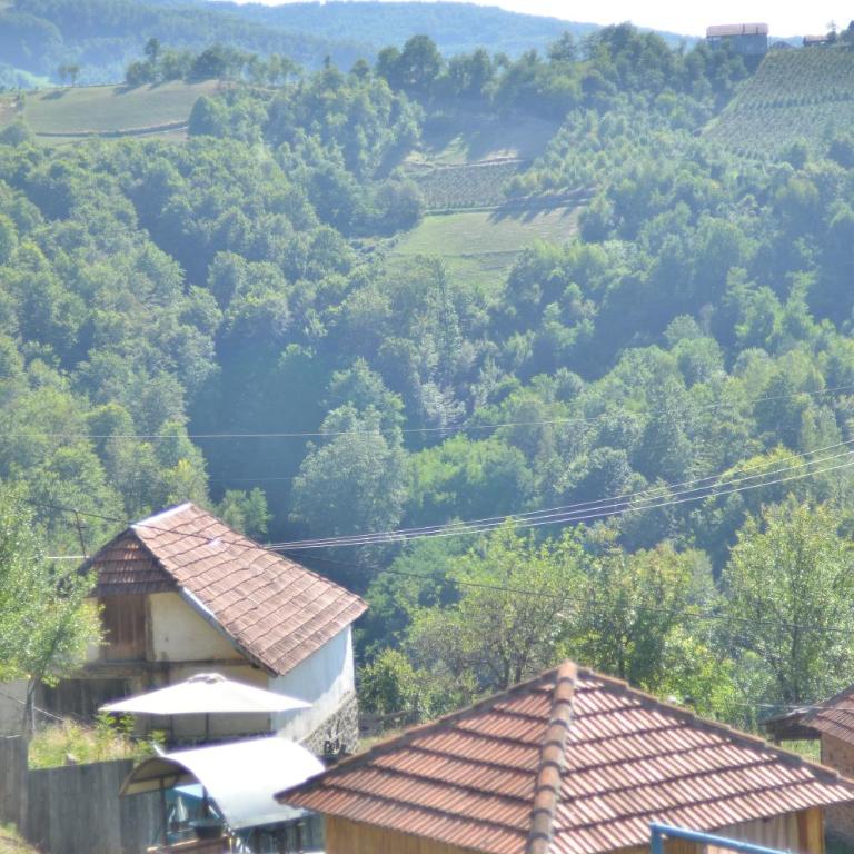 Seosko domacinstvo Radovanovic - Kuća sa 2 Spavaće Sobe - 45