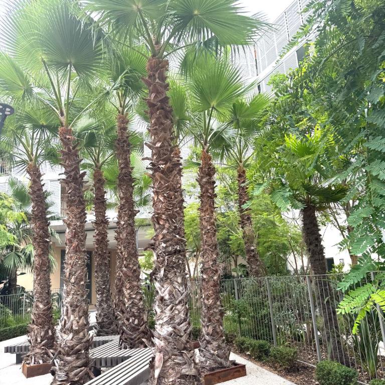 2 Bedroom Flat with Garden in Antibes - Two-Bedroom Apartment - 11