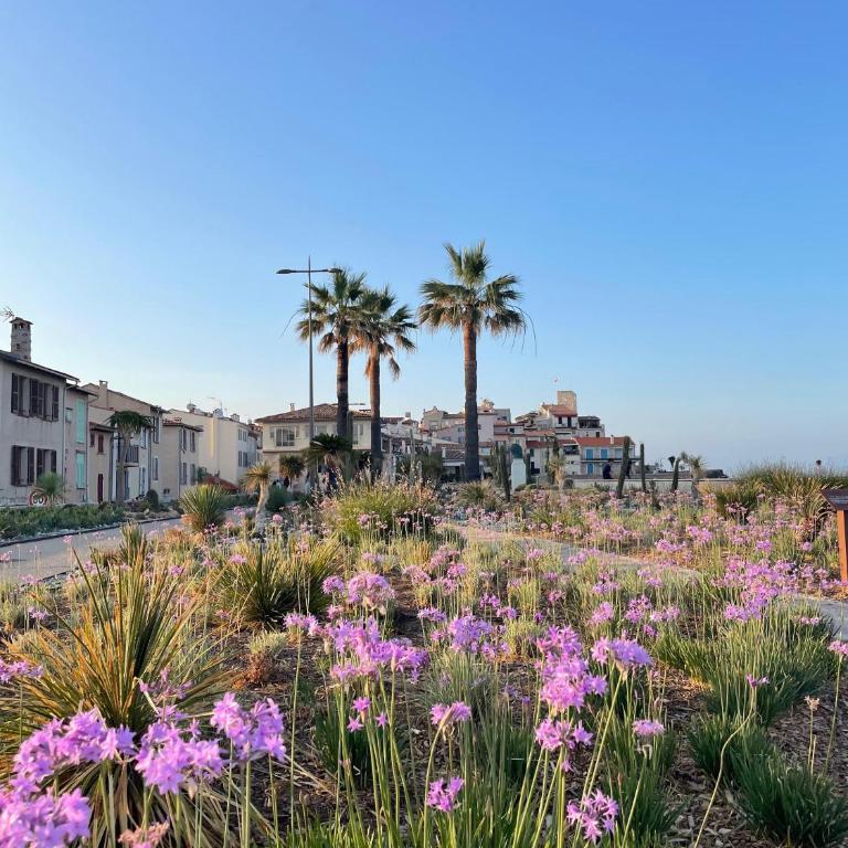 2 Bedroom Flat with Garden in Antibes - Two-Bedroom Apartment - 16