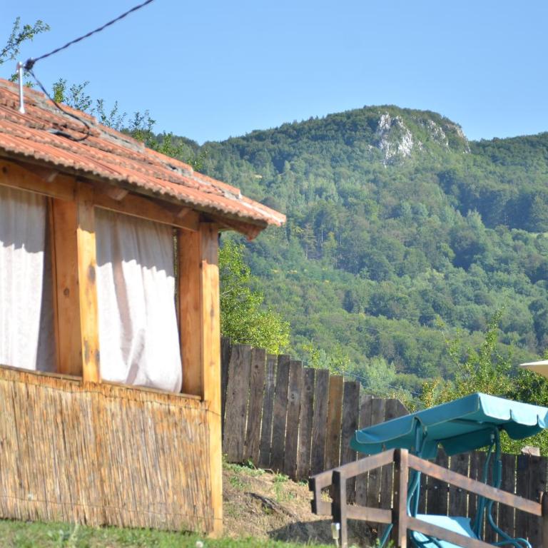 Seosko domacinstvo Radovanovic - Kuća sa 2 Spavaće Sobe - 21