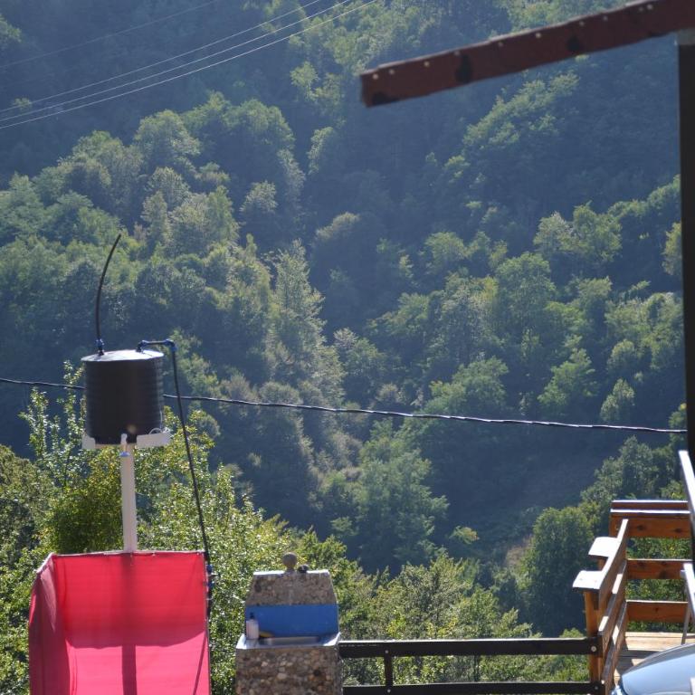 Seosko domacinstvo Radovanovic - Kuća sa 2 Spavaće Sobe - 47