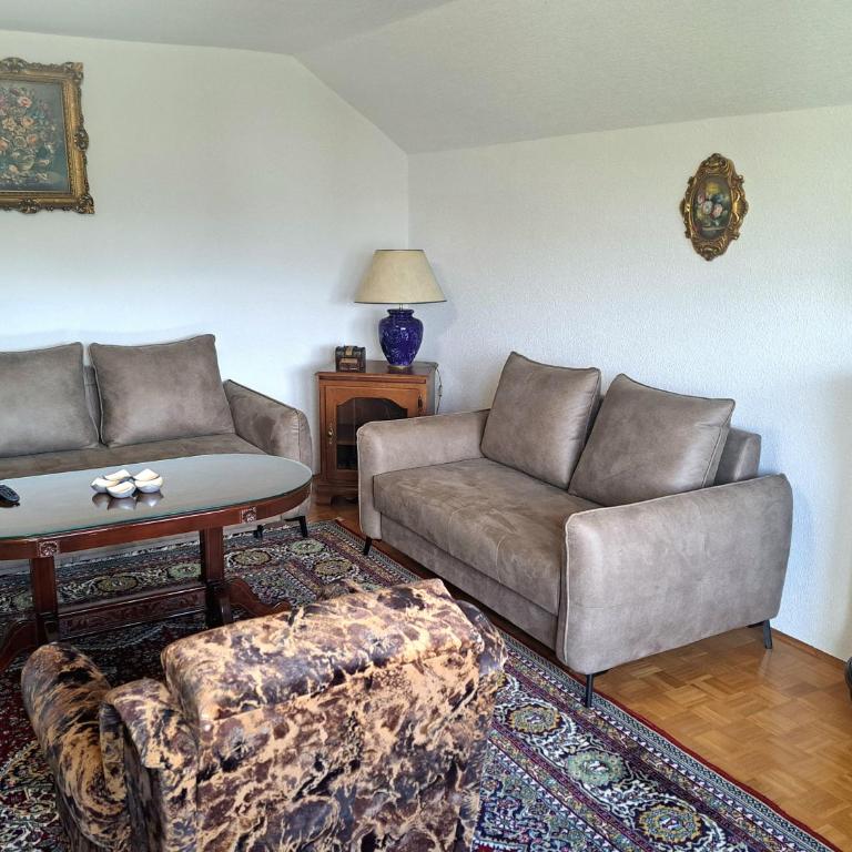 CityLights Sarajevo Apartment - Apartman sa 2 Spavaće Sobe i Pogledom na Grad - 3