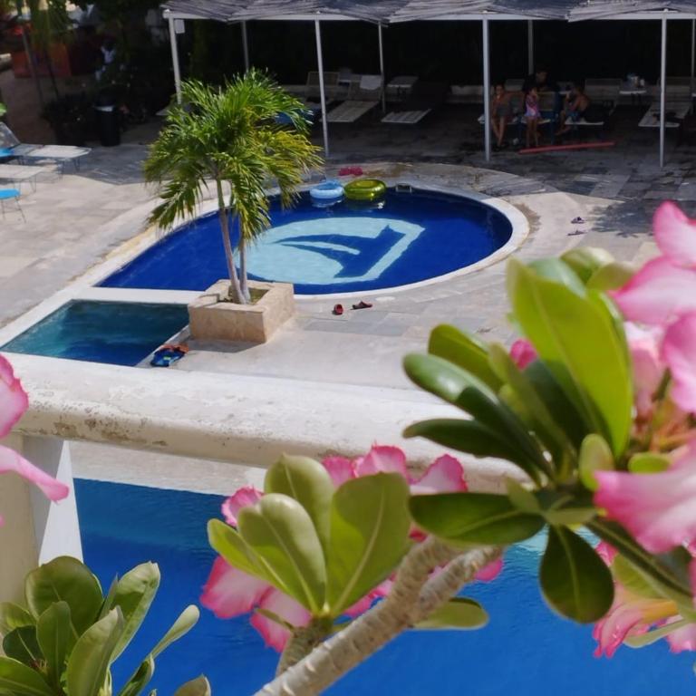 Acamar Beach Resort - Habitación Doble con vistas a la piscina - 5