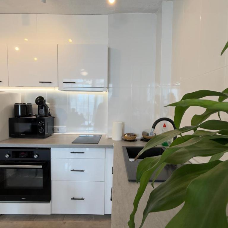 Atlantico Flamingo - One-Bedroom Apartment - 18
