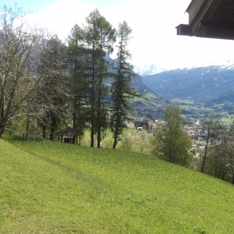 Appartamento Stella Alpina con sauna piscina palestra e posto auto - Appartamento con 2 Camere da Letto e con Vista Montagna - 64