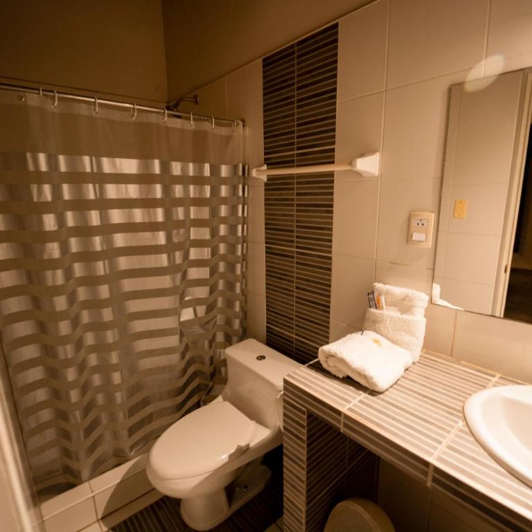 Hotel Fundo San Rafael - Superior Twin Room with Garden View - 4