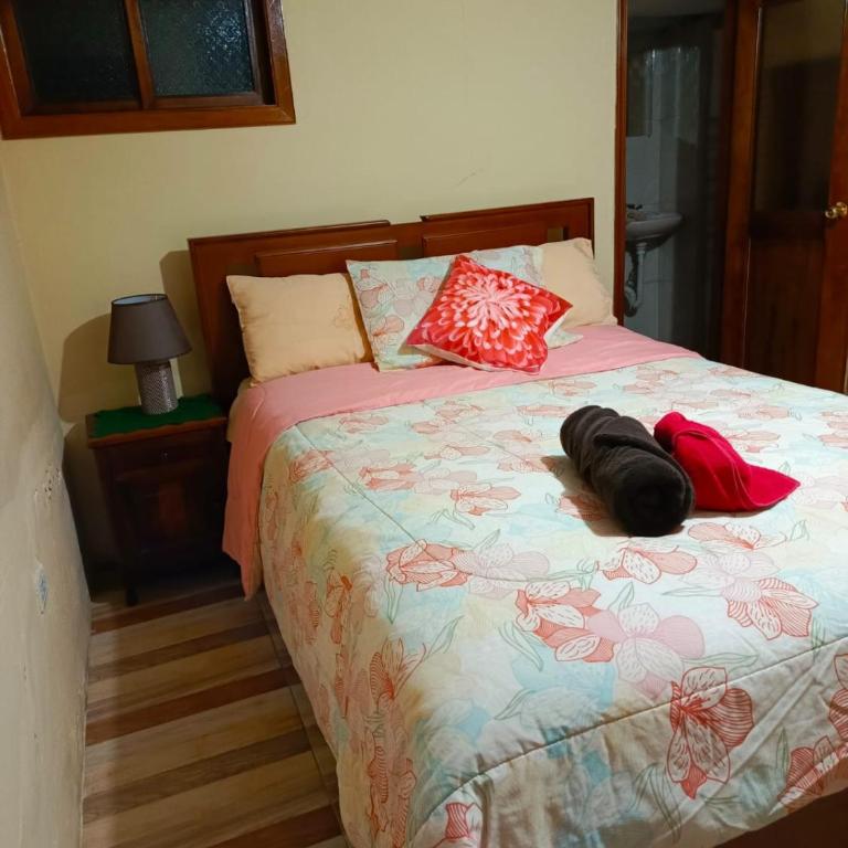 Larita' Rose MINDO Hospedaje y casita de Campo Los Guayabales - Habitación Doble con baño privado - 1