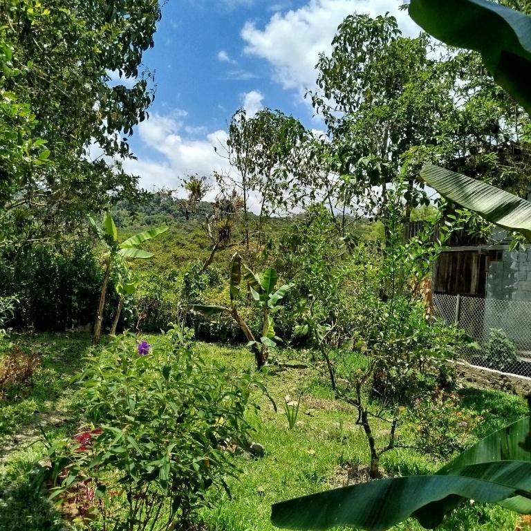 Larita' Rose MINDO Hospedaje y casita de Campo Los Guayabales - Habitación Doble con baño privado - 2