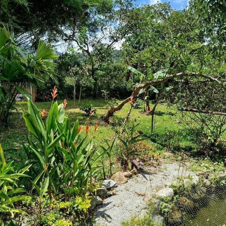 Larita' Rose MINDO Hospedaje y casita de Campo Los Guayabales - Habitación Doble con baño privado - 10