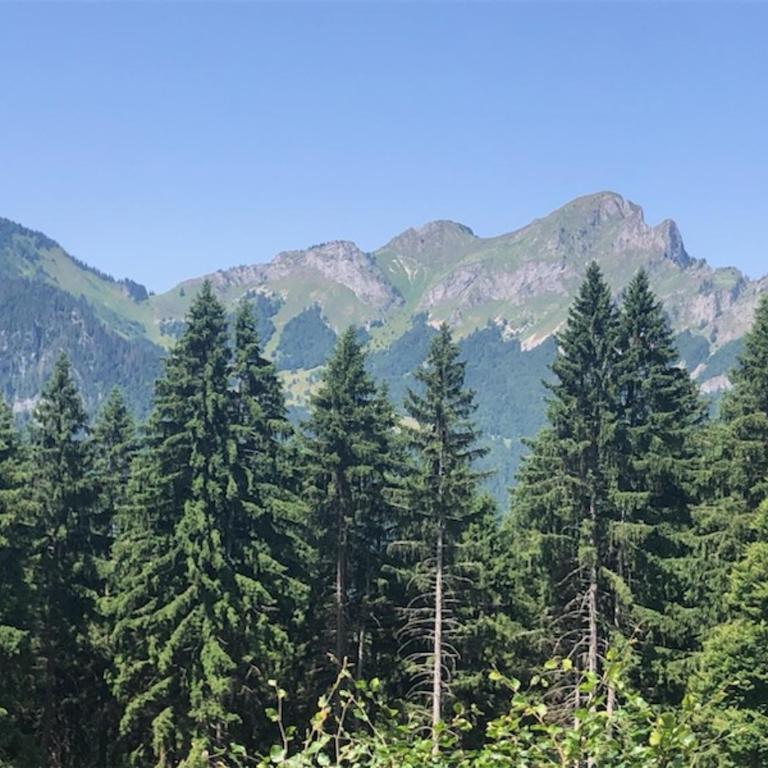 Appartement 8 personnes à Le Biot - Appartement 3 Chambres avec Vue sur la Montagne - 18