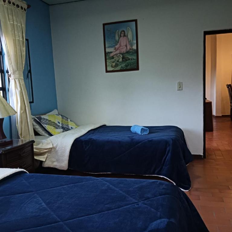 Villa Alegría - Casa - 8