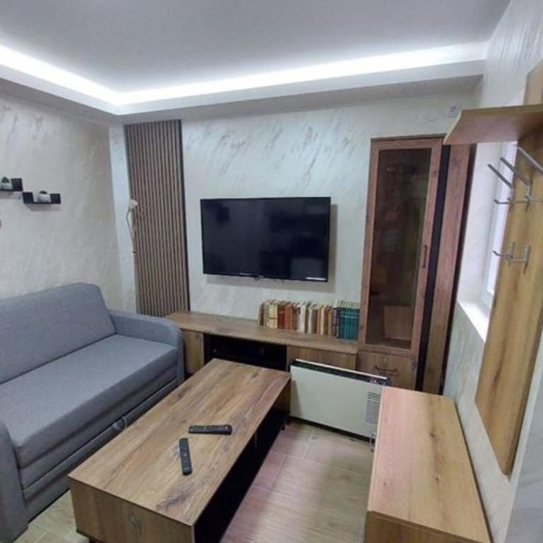 Radojkovic Apartman - One-Bedroom Apartment - 1