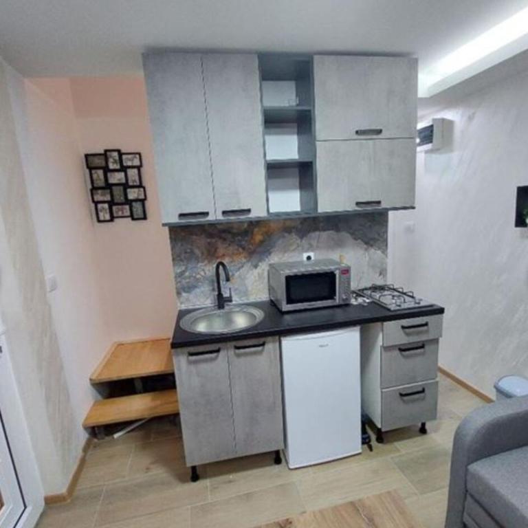 Radojkovic Apartman - One-Bedroom Apartment - 7