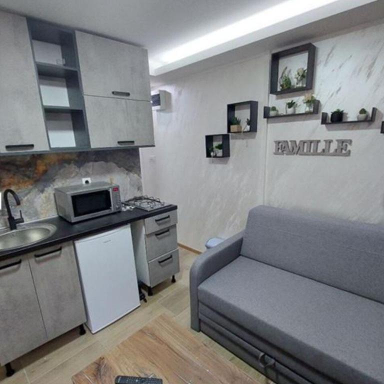 Radojkovic Apartman - One-Bedroom Apartment - 8