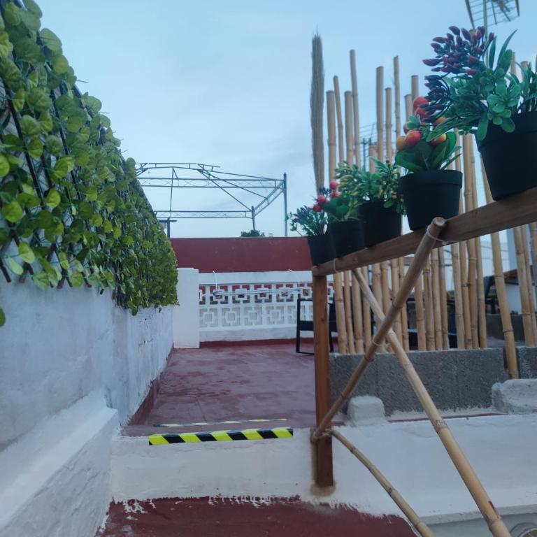 La Casita de Cullera - Casa de 3 dormitorios - 54
