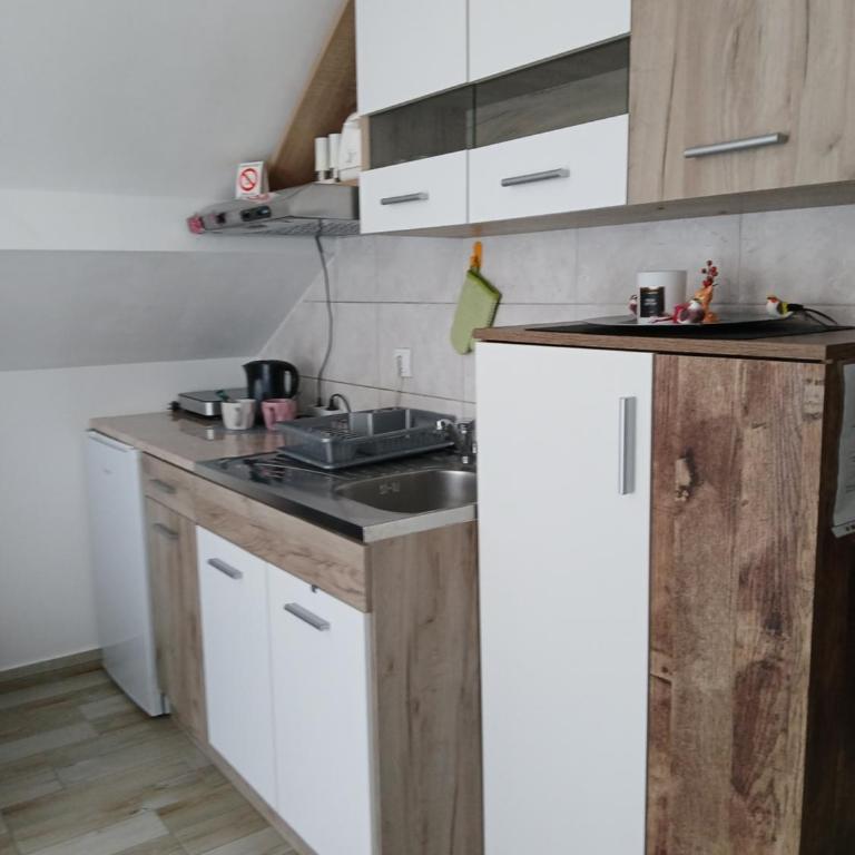 Studio Mina - Apartman sa 1 Spavaćom Sobom - 10