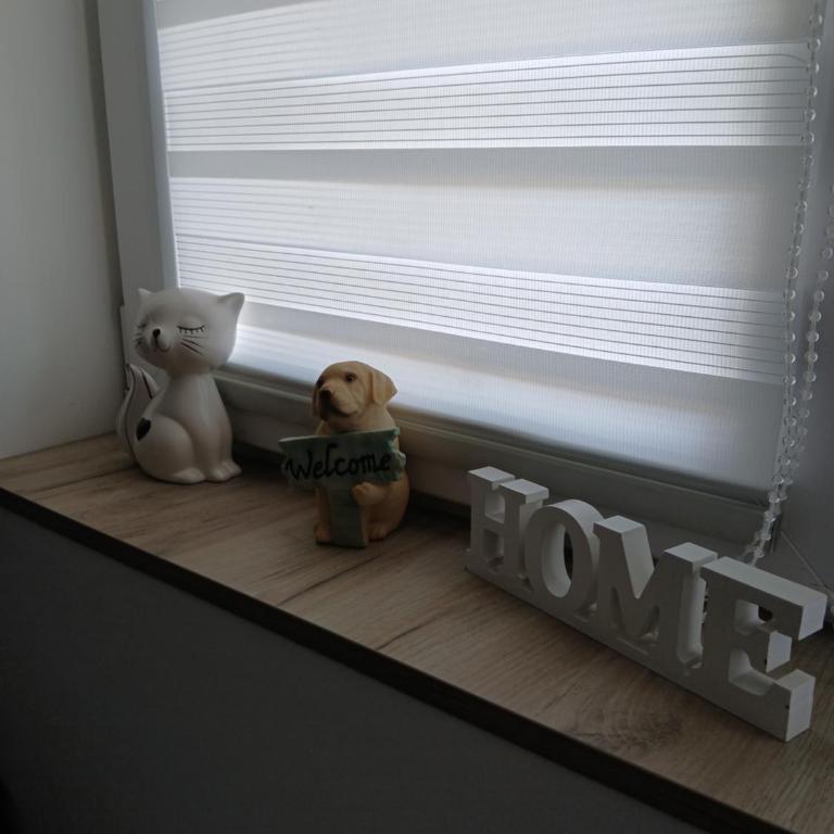 Studio Mina - Apartman sa 1 Spavaćom Sobom - 9