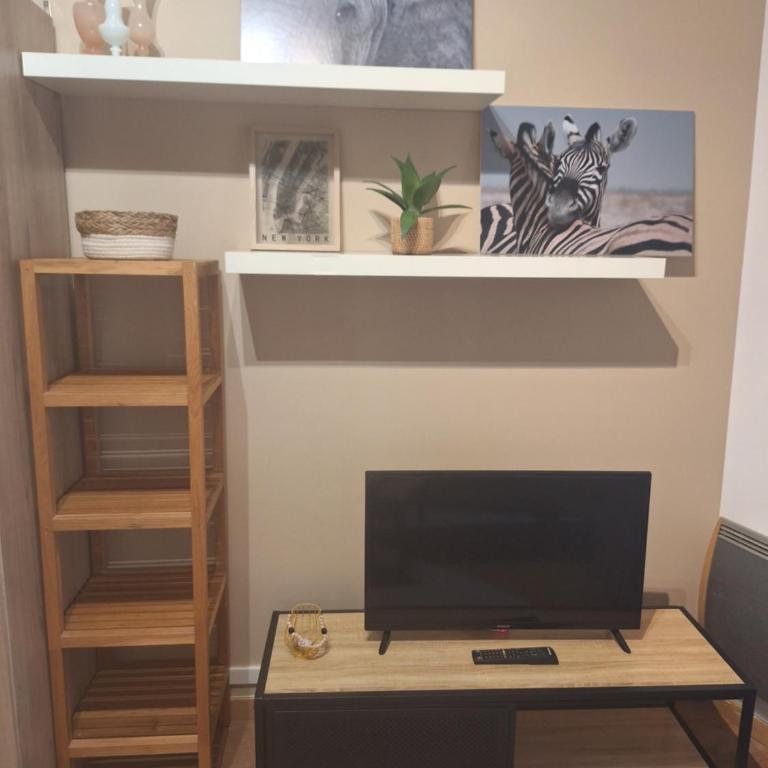 Studio élégant rénové, cœur piéton Evian - Appartamento con 1 Camera da Letto - 11