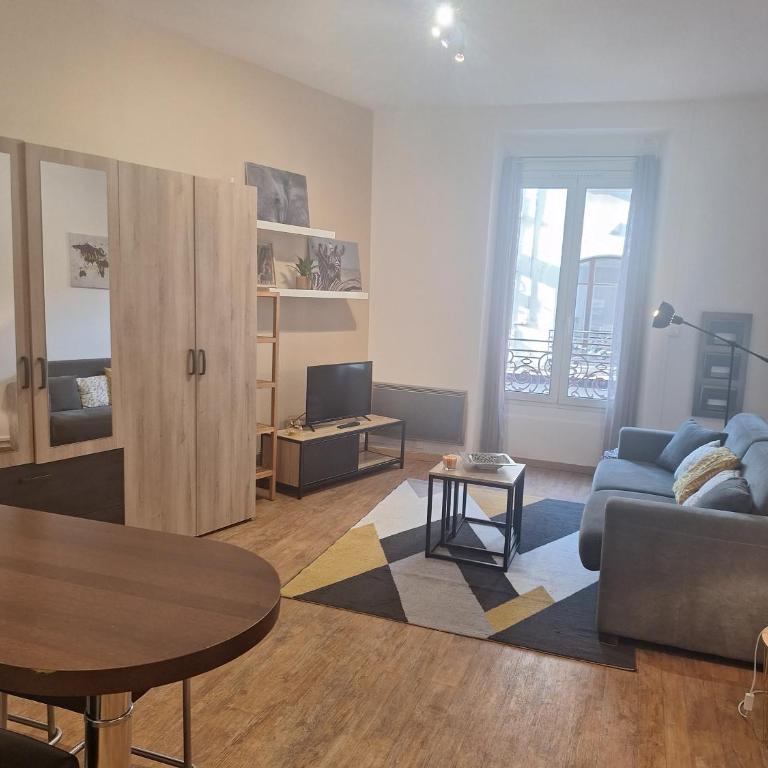 Studio élégant rénové, cœur piéton Evian - Appartamento con 1 Camera da Letto - 12