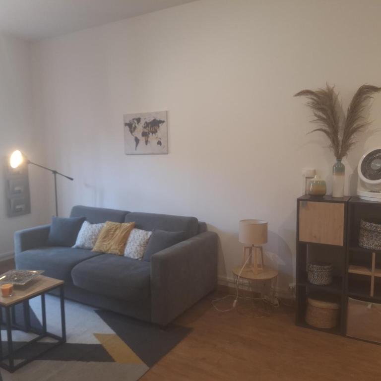 Studio élégant rénové, cœur piéton Evian - Appartamento con 1 Camera da Letto - 15