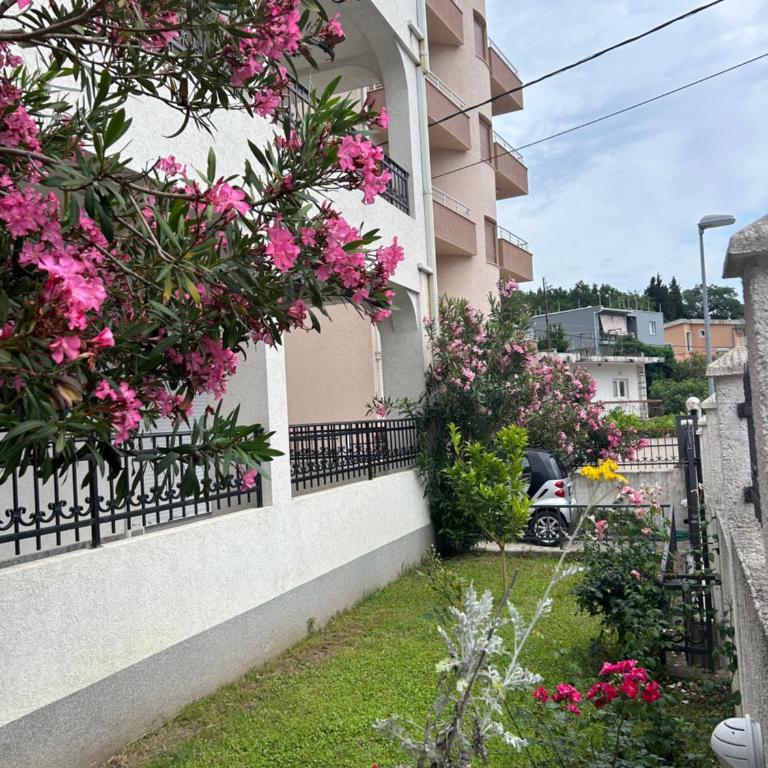 Apartmani Vedrana Sutomore - Apartman sa 1 Spavaćom Sobom - 9