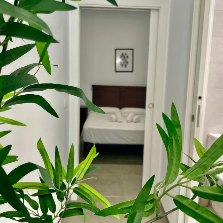 Geysotur Almogavares Suite - Apartamento de 1 dormitorio - 5