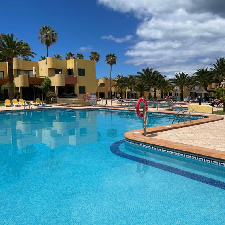 Paraíso Lulú - Apartamento de 1 dormitorio - 16