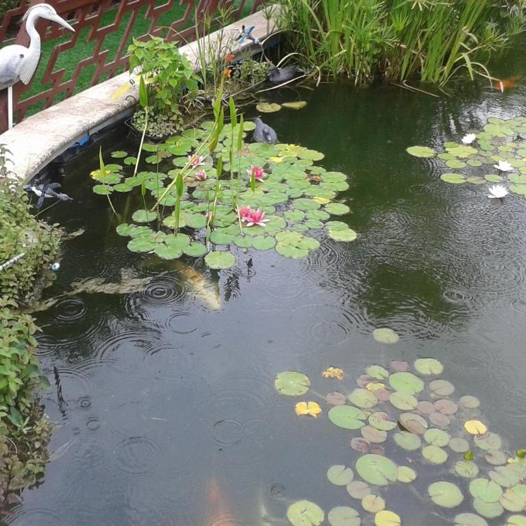 9 chambres spa hamman sauna Piscine chauffée poss - Villa - 93