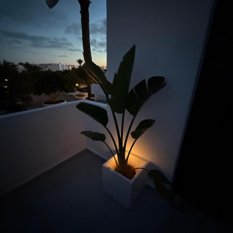 Los Molinos Serenity apartment - Apartamento de 1 dormitorio - 2